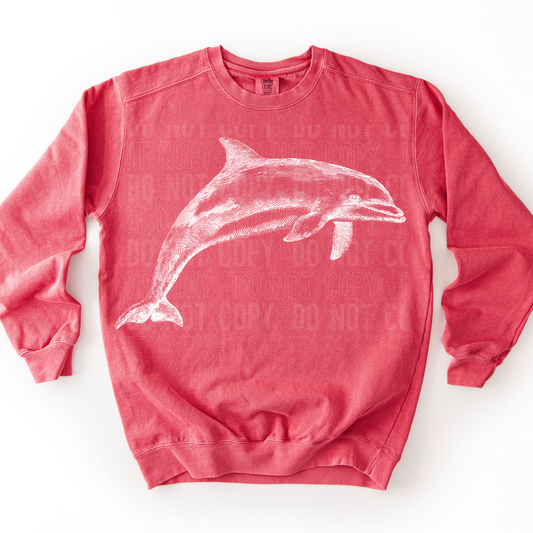 Dolphin Design